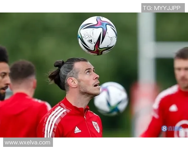 足球明星马维的职业生涯与成就全景解析